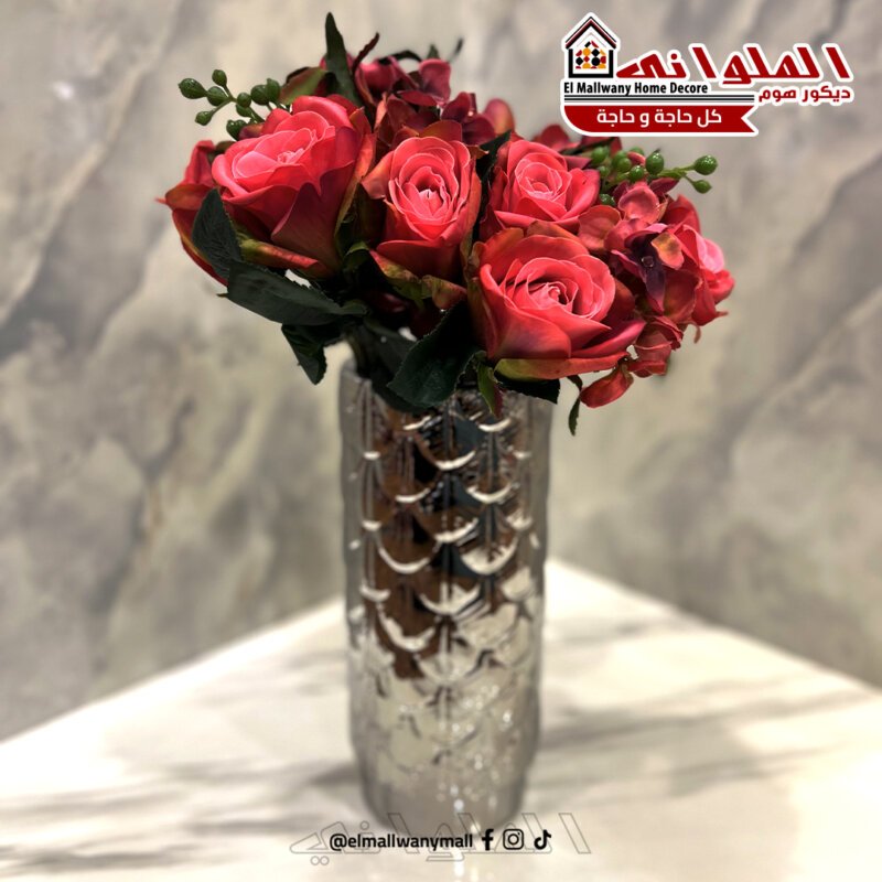 550 بس خلص